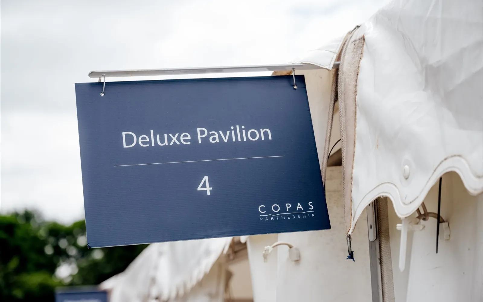 Henley Royal Regatta gallery image 8